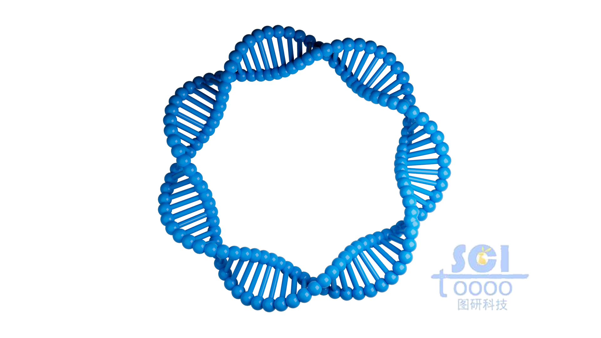 質(zhì)粒DNA