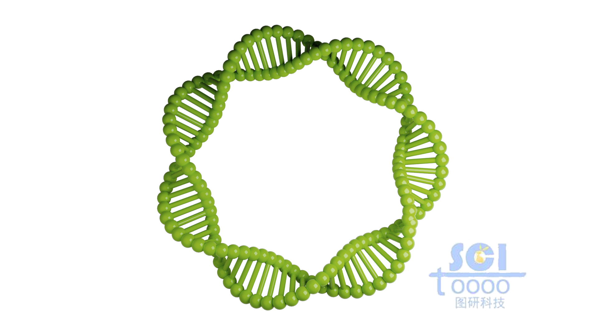 質(zhì)粒DNA