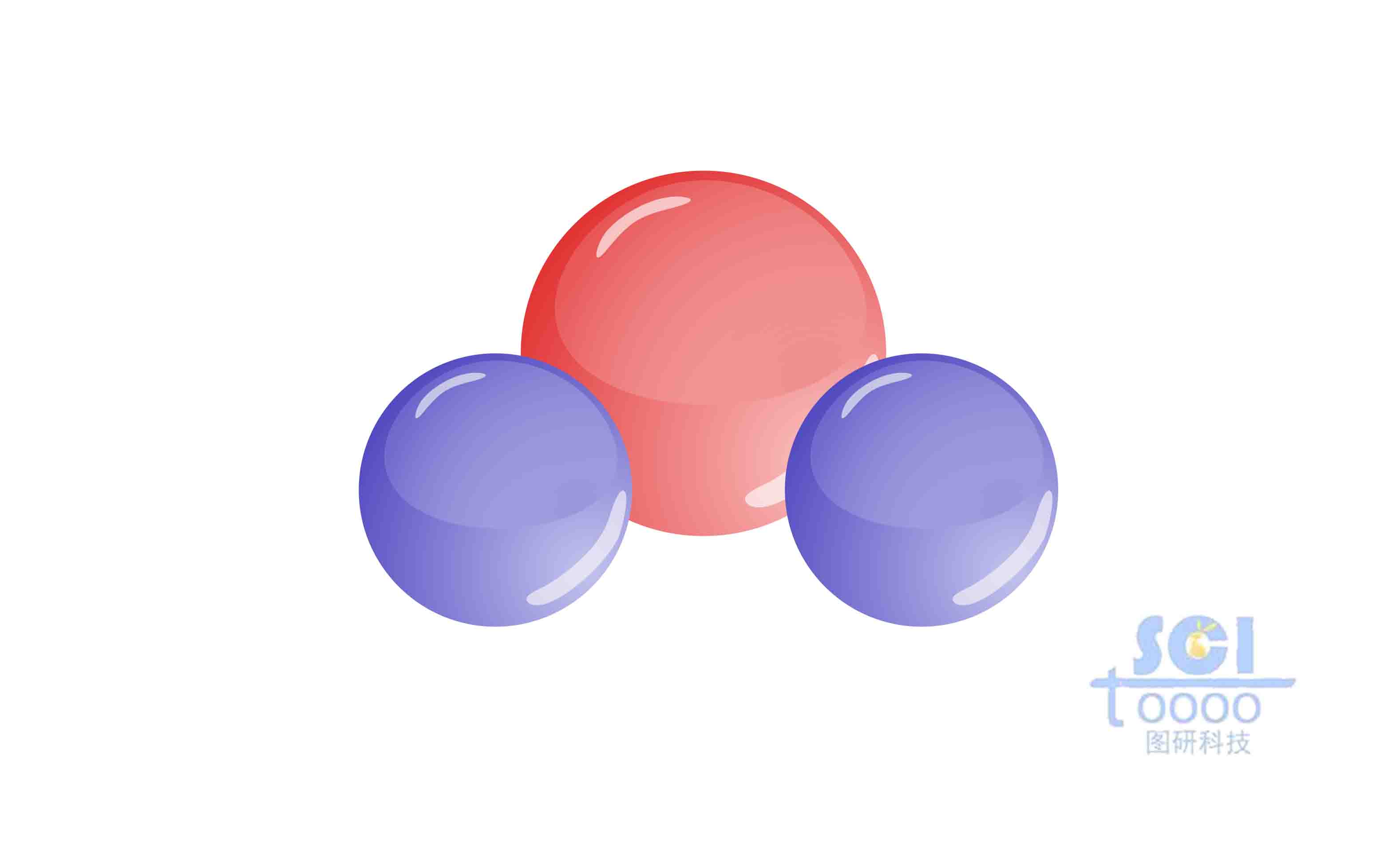 分子結(jié)構(gòu)