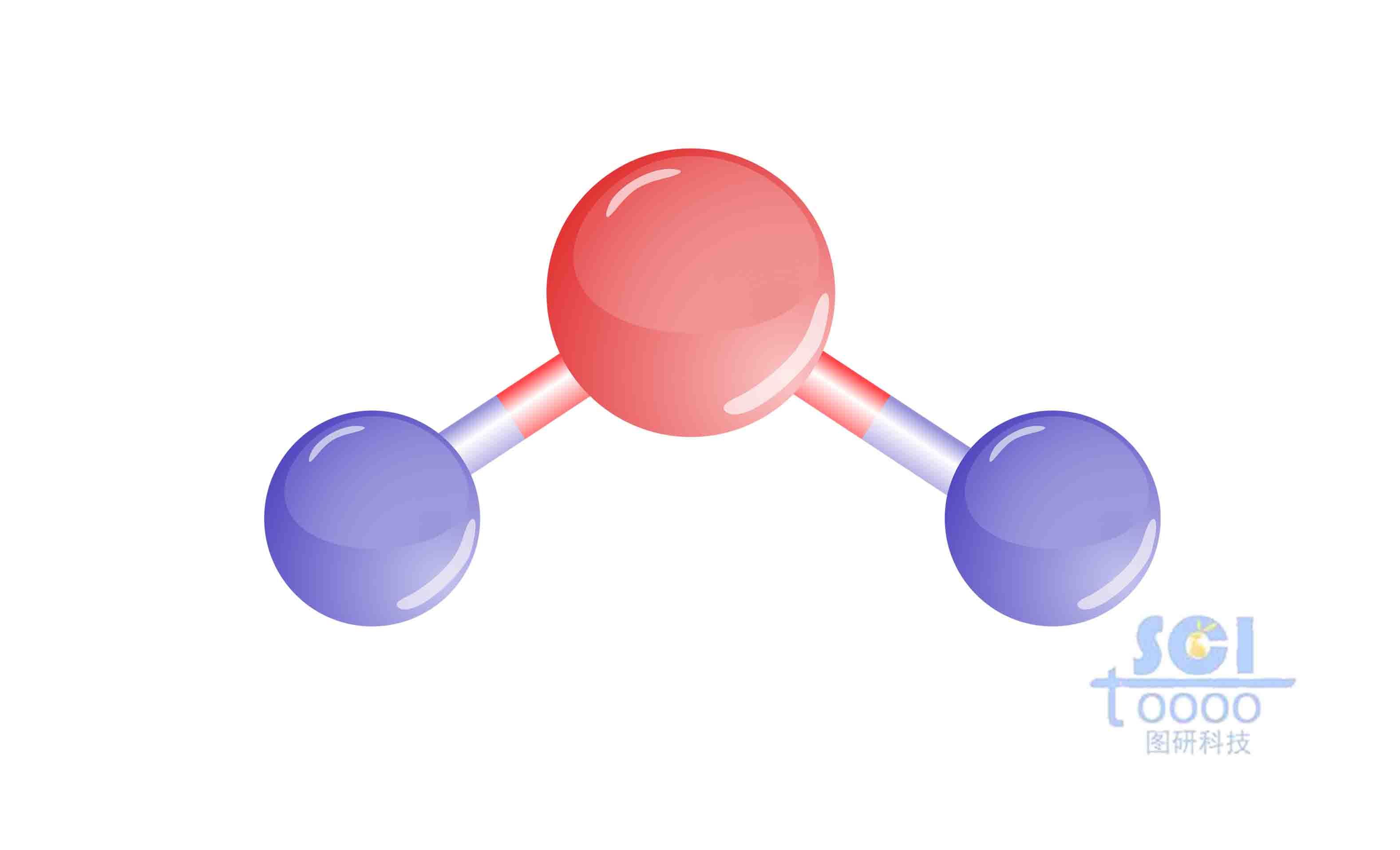 分子結(jié)構(gòu)