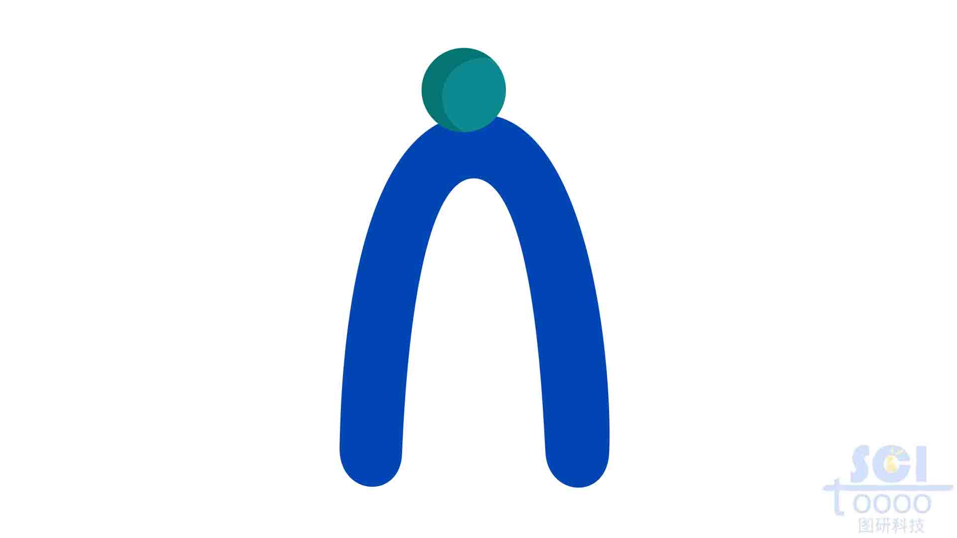 染色體