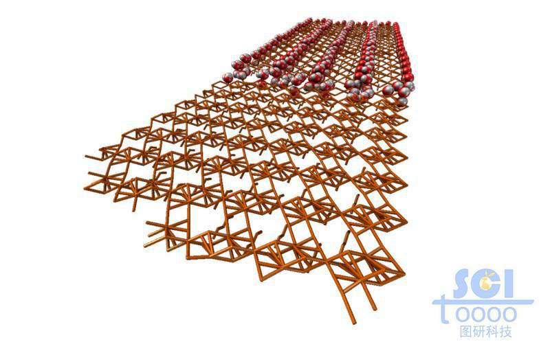 網狀分子結構