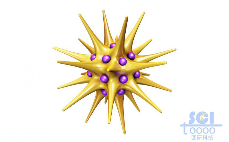 鑲嵌小分子基團的金納米星