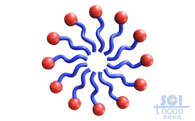 排成圓環(huán)的高分子鏈段示意結(jié)構(gòu)